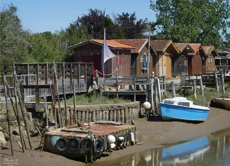 Terrains à Saint-Vivien de Médoc